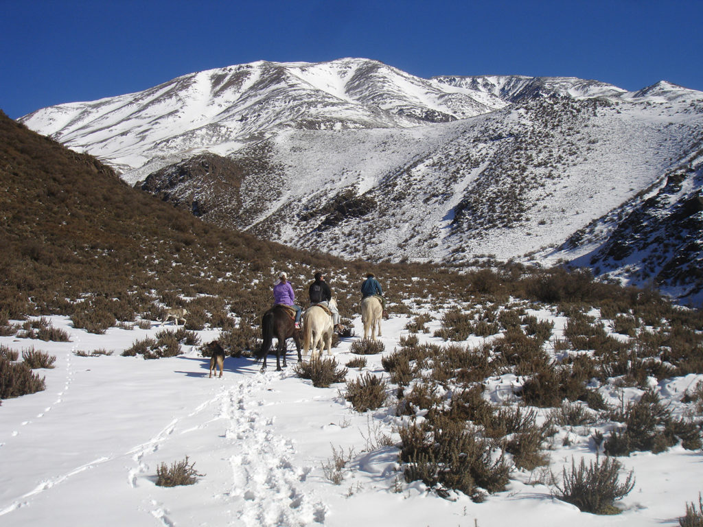 mendoza-1